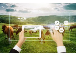 k8����(�й�)����Ӯ�ҡ�һ������