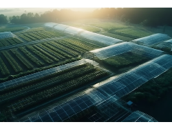 k8����(�й�)����Ӯ�ҡ�һ������