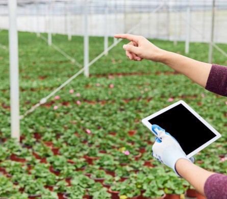 k8����(�й�)����Ӯ�ҡ�һ������